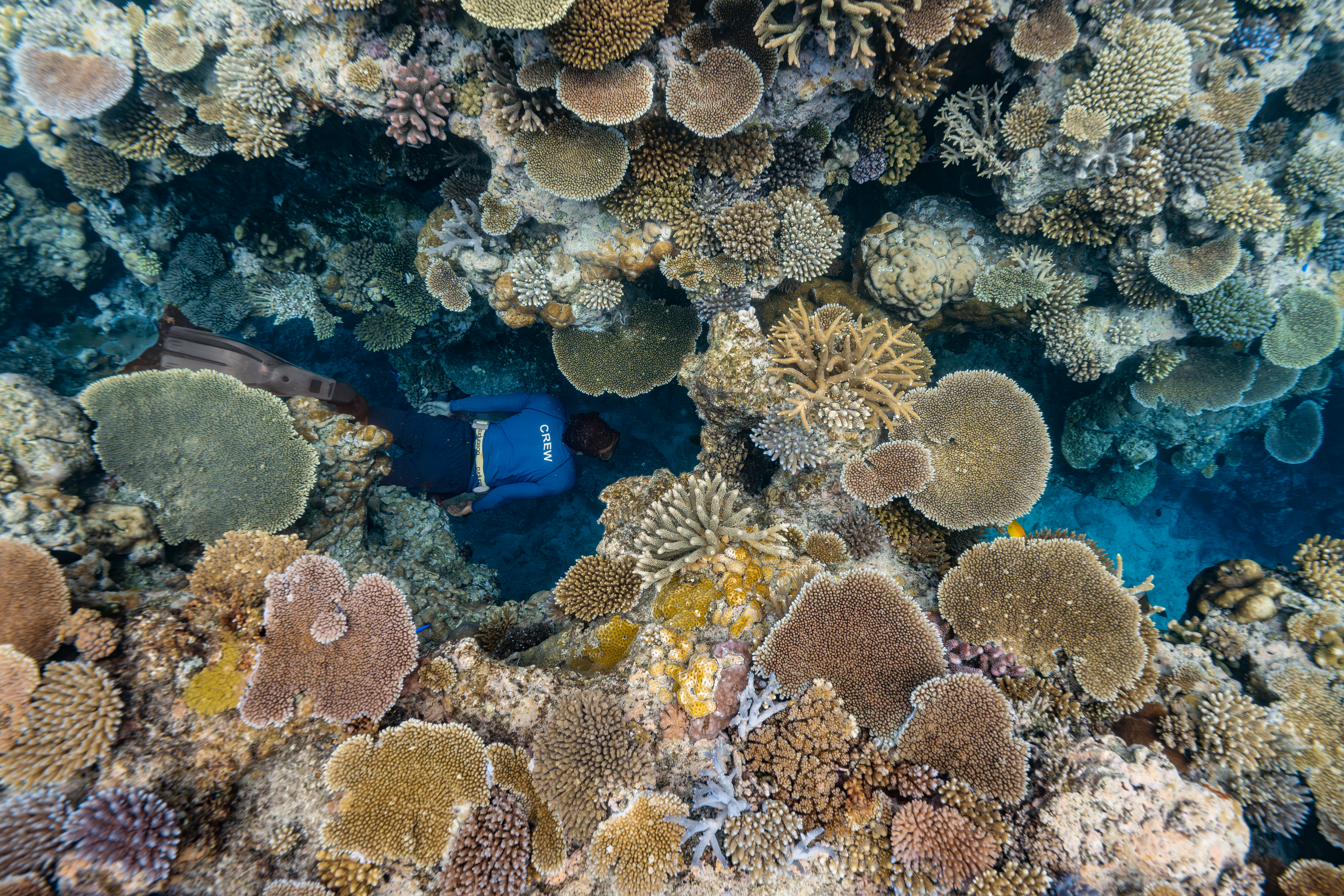 Experience Snorkeling 5