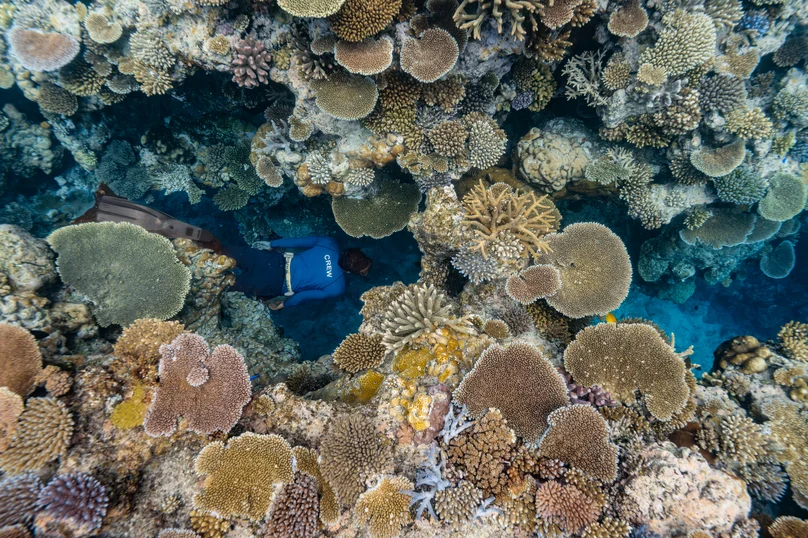 Experience Snorkeling 5