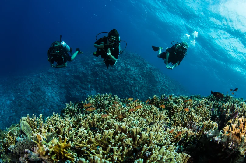 Kokomo Marine Scuba Underwater (2)