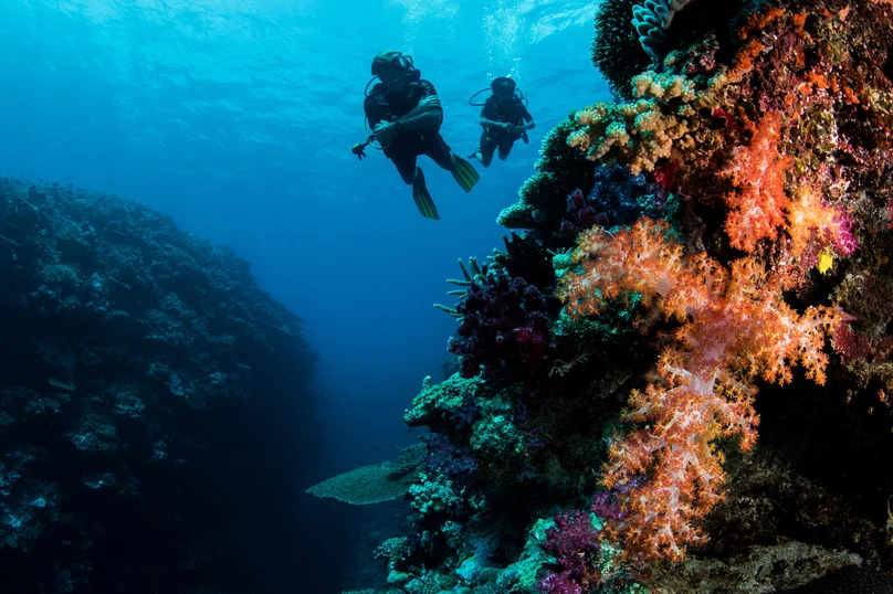 Kokomo Marine Scuba Underwater (3)
