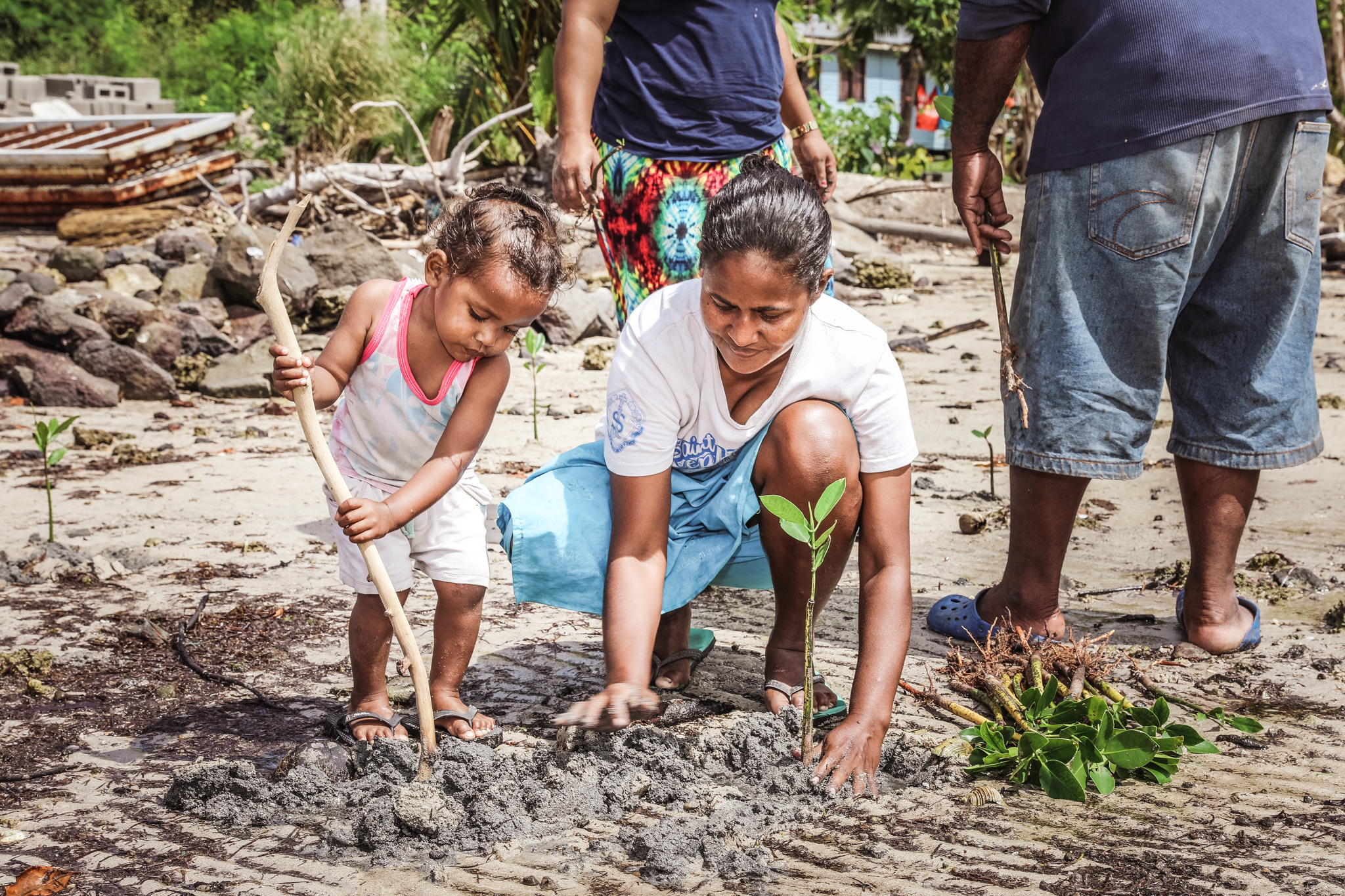 Kokomo Sustainability Mangrove (9)