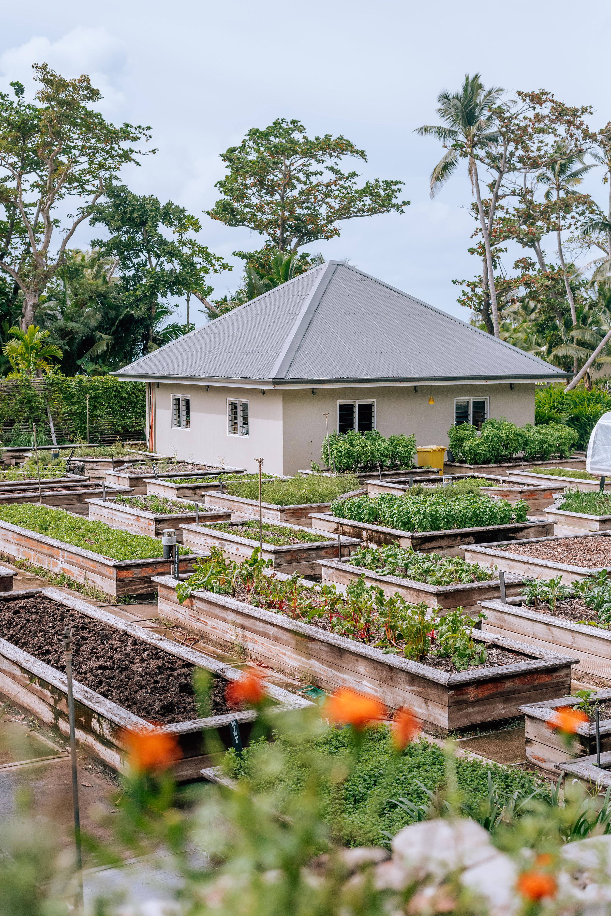 Farm