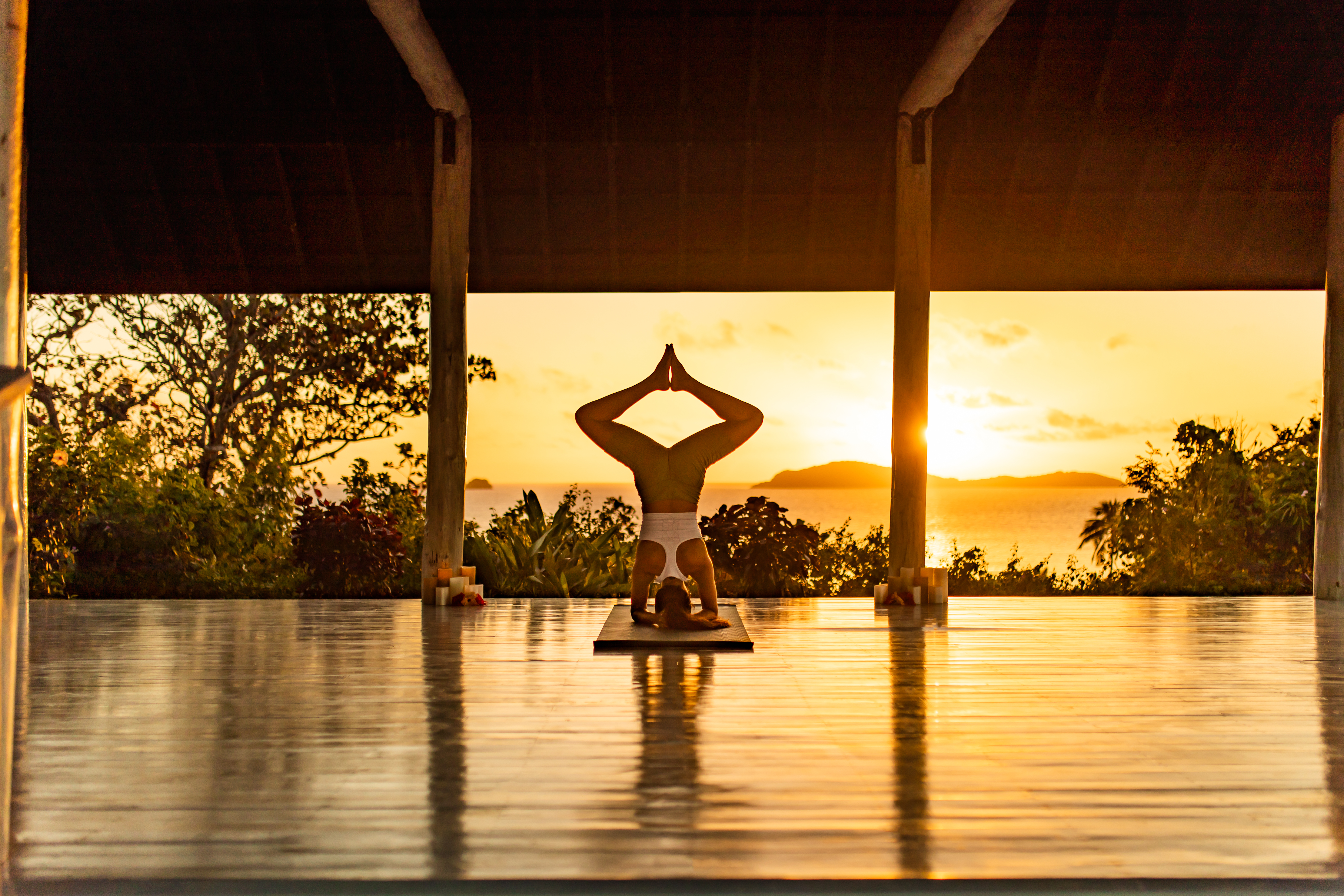 Yoga Shala 2