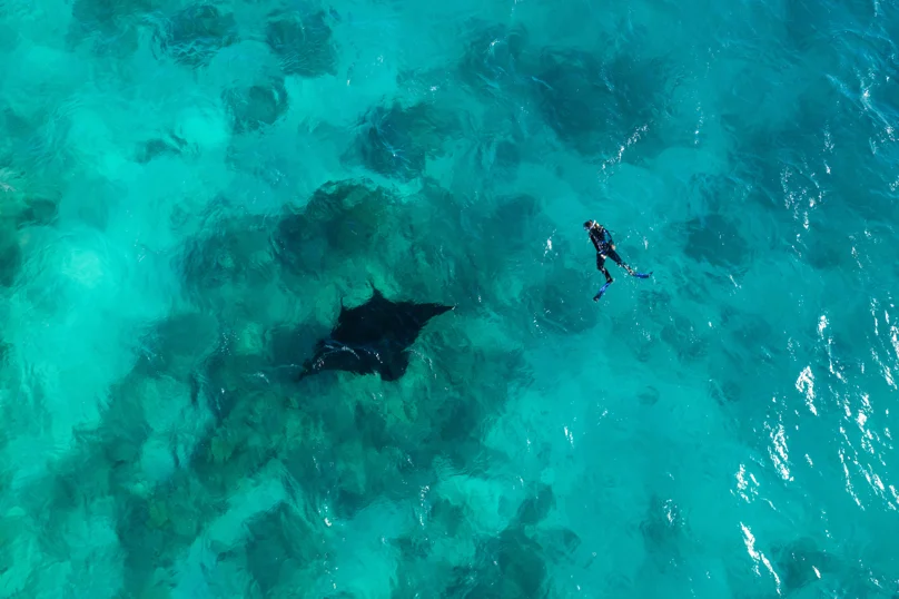 Kokomo Manta Aerial 1 (2)