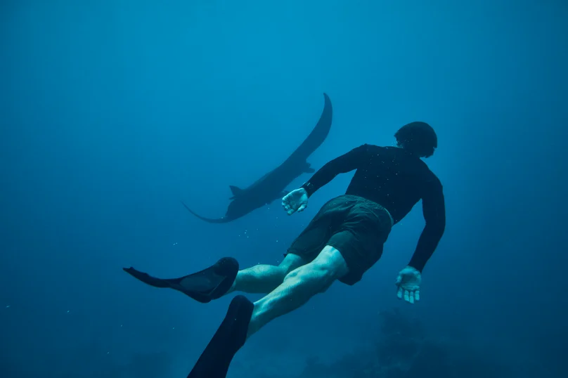 Kokomo Marine Mantaray Swimmer (4)