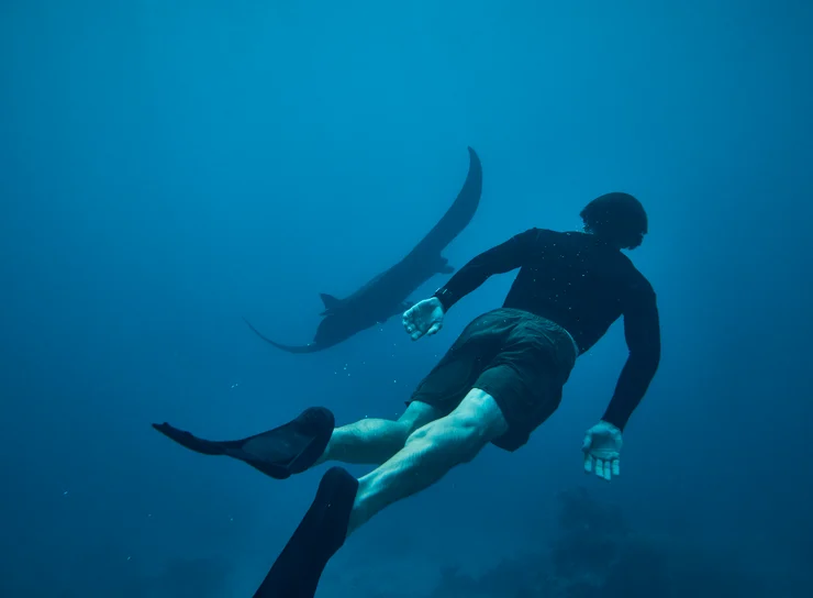 Kokomo Marine Mantaray Swimmer (4)