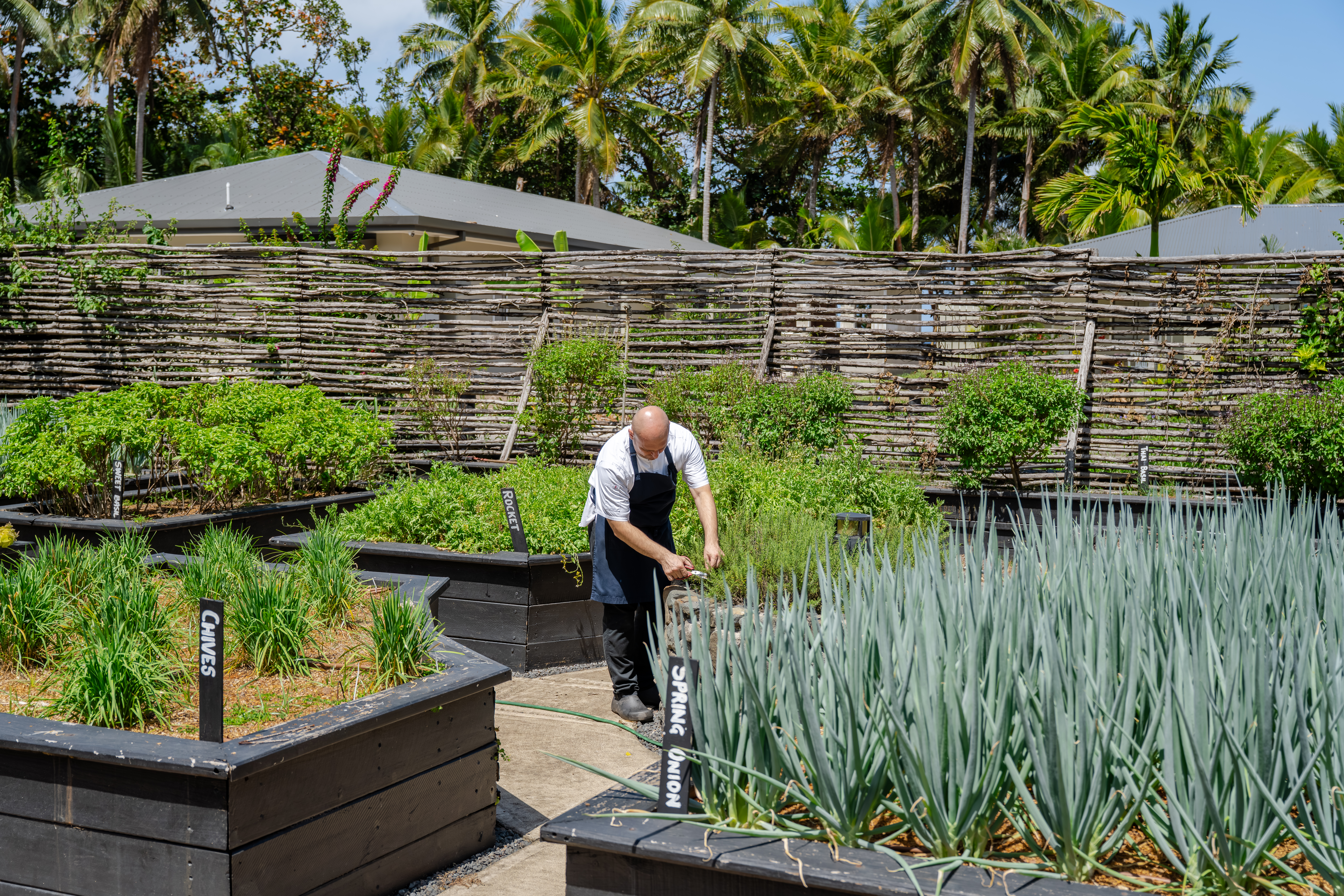 Sustainability Farm To Table 3