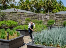 Sustainability Farm To Table 3
