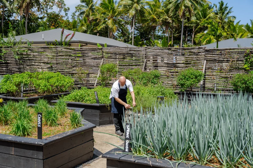 Herbs Farm To Table Sustainability JV 25