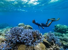 Experience Snorkeling 6