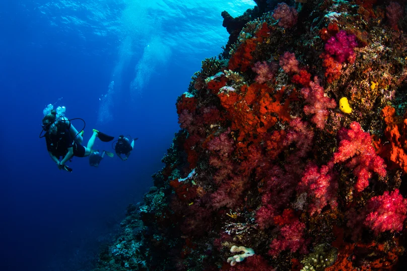 Kokomo Marine Scuba Underwater (4)