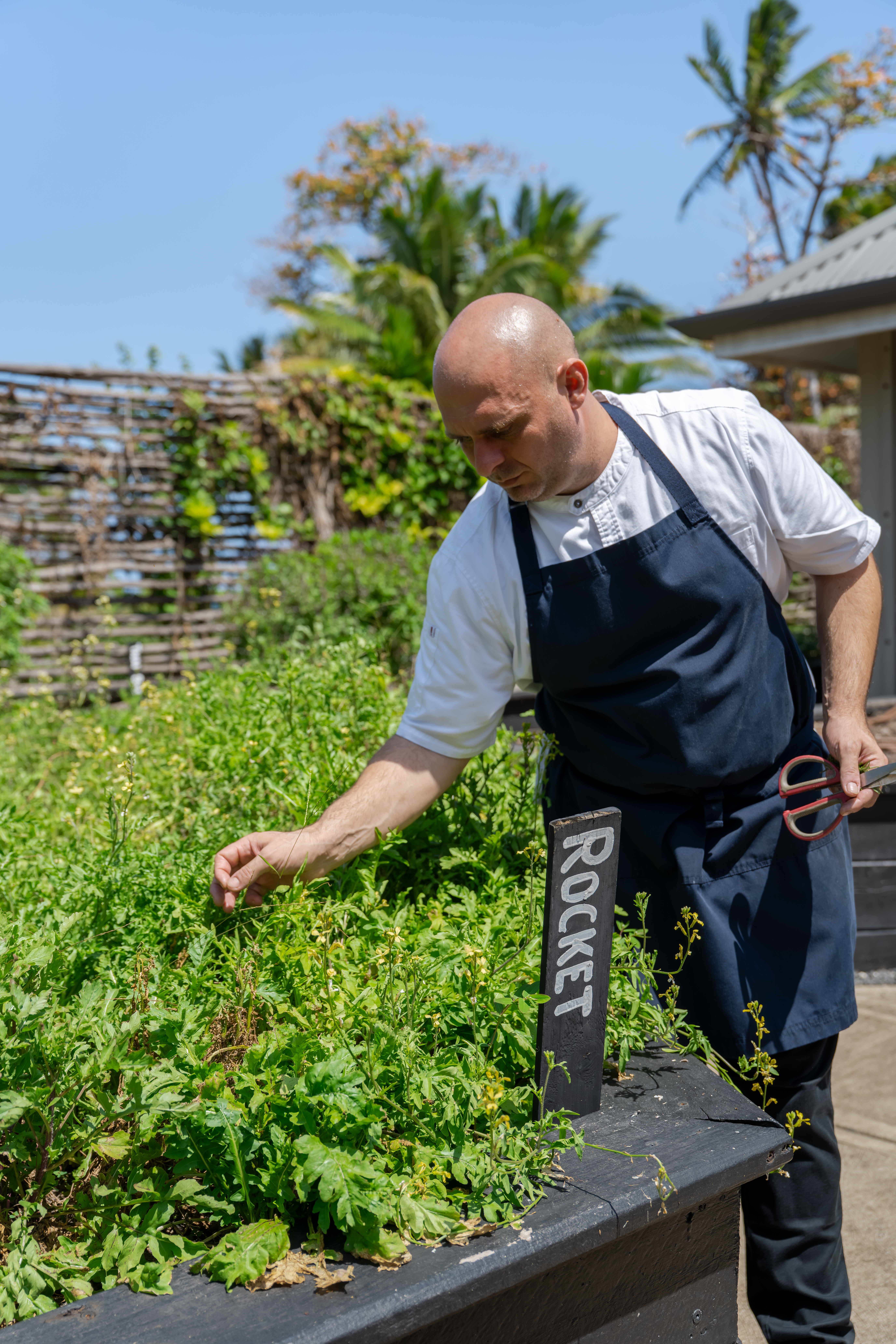 Sustainability Farm To Table 4