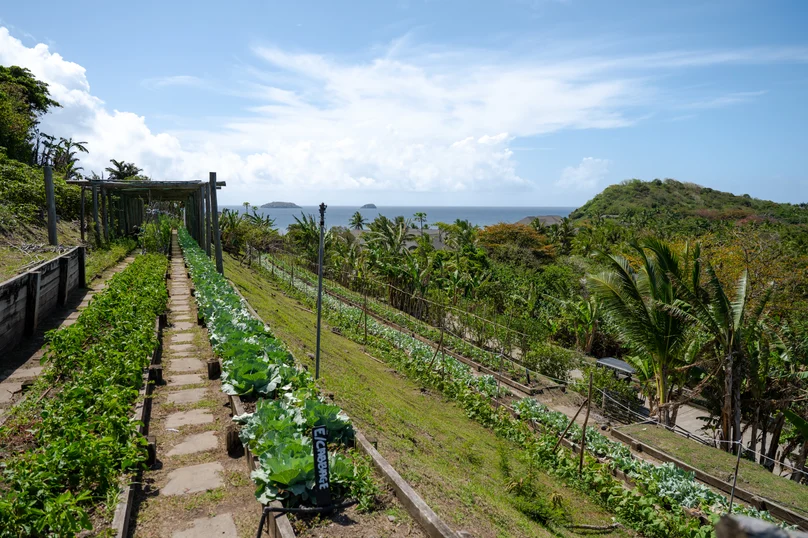 Garden Farm To Table Sustainability JV 25