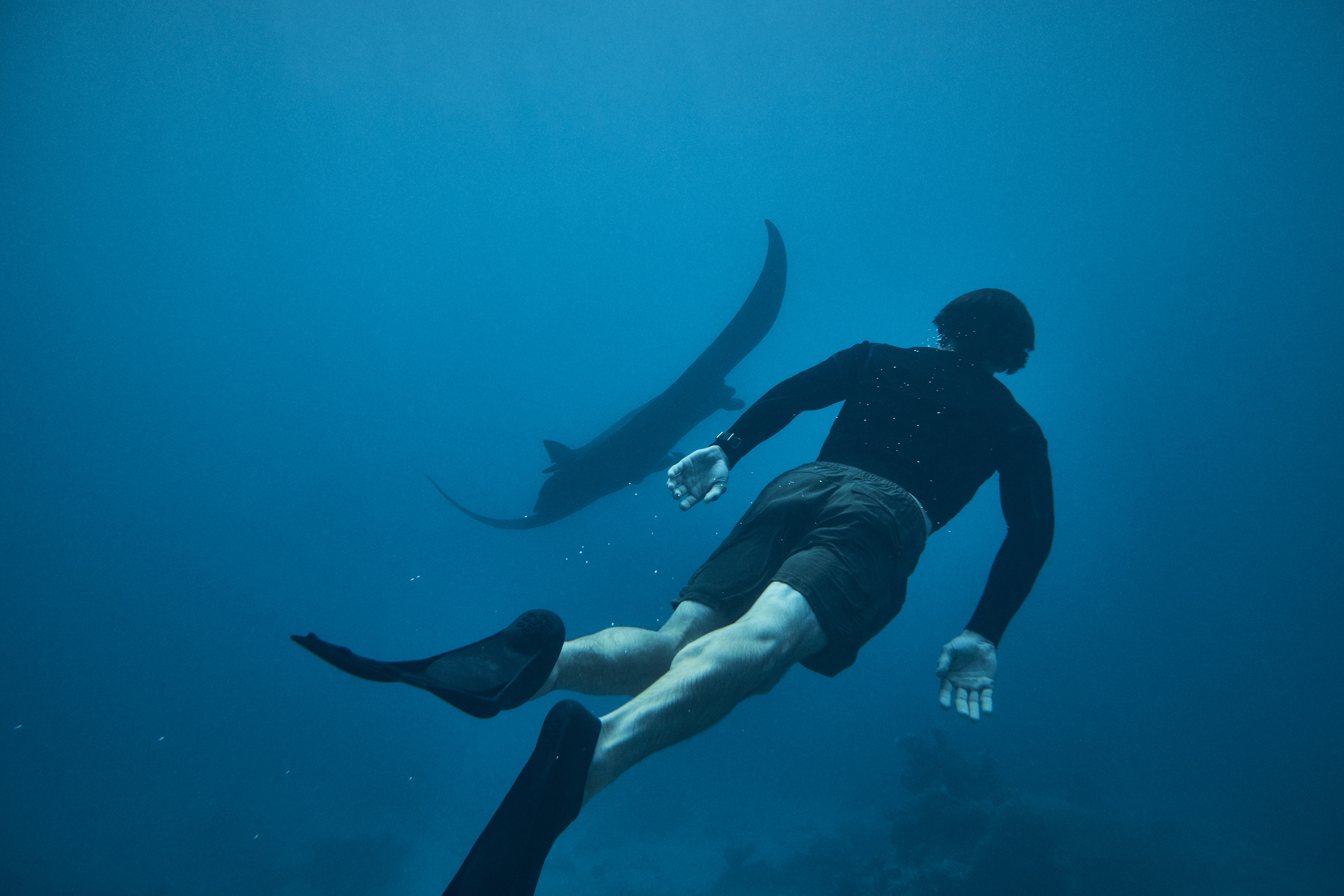 Kokomo Marine Mantaray Swimmer (4)