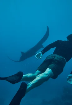 Kokomo Marine Mantaray Swimmer (4)